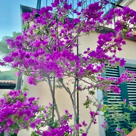Apartmán Di Lugio Toscana *